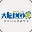 大脑地图